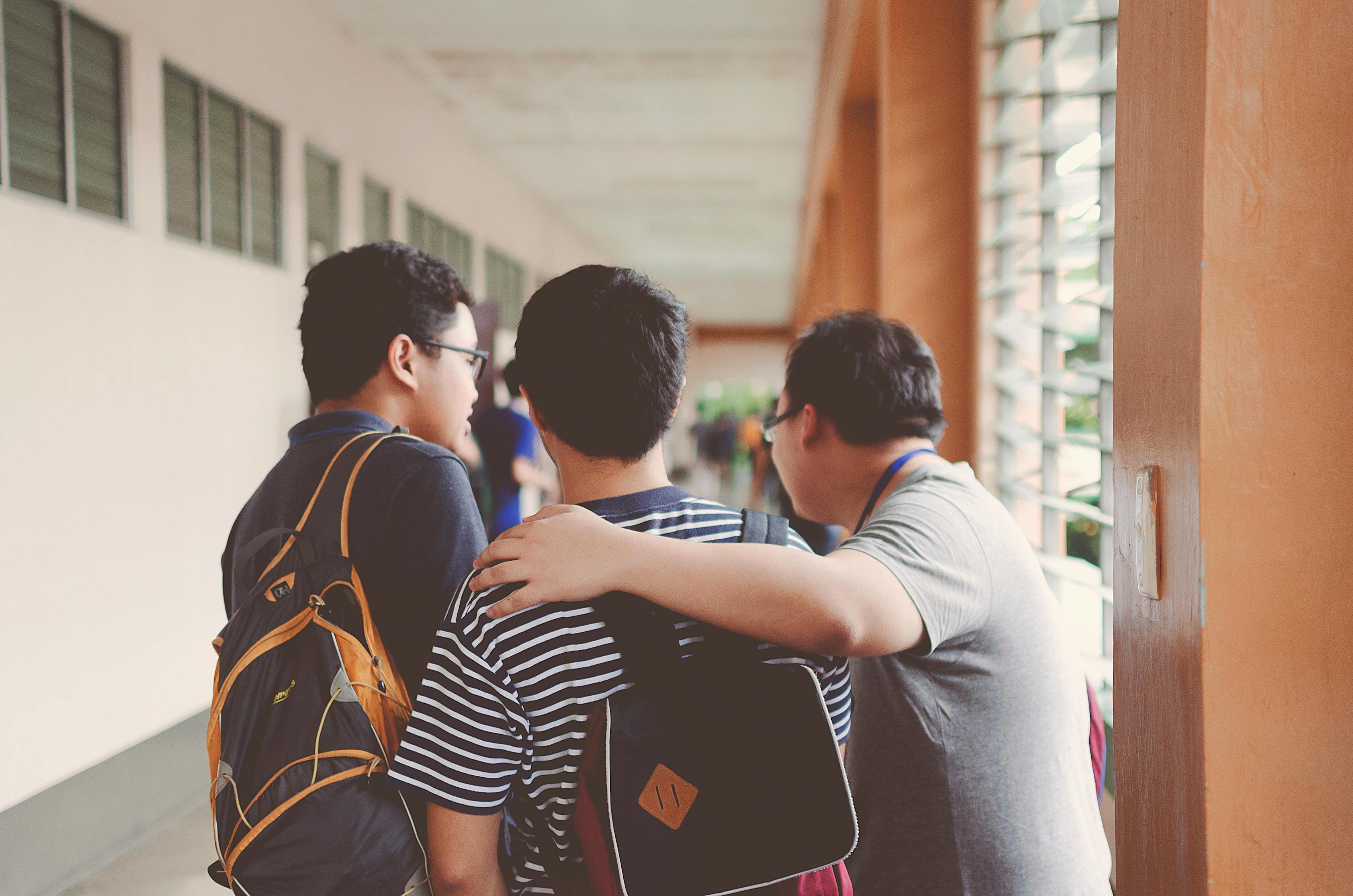 学拉丁的代妈借卵生的男孩多吗（学拉丁的试管代生的孩子）